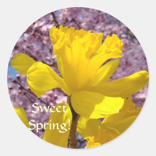 Sweet Spring! Stickers Floral Daffodils Flowers (Front)