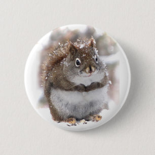 Sweet Squirrel 6 Cm Round Badge