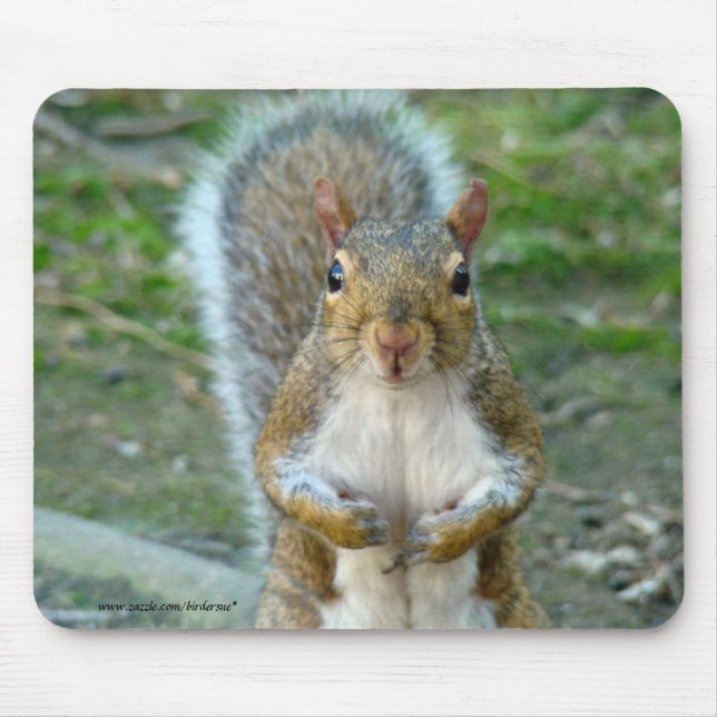 Sweet Squirrel Face Mouse Pad (Front)