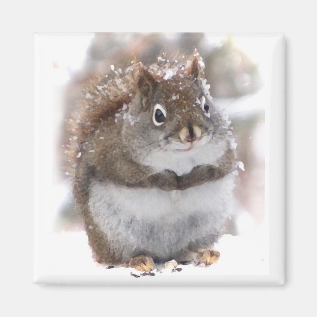 Sweet Squirrel Magnet (Front)