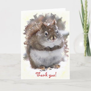 Sweet Squirrel Thank You