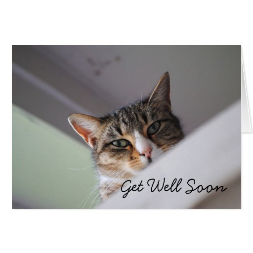 Cat Get Well Soon Gifts - T-Shirts, Art, Posters & Other Gift Ideas ...