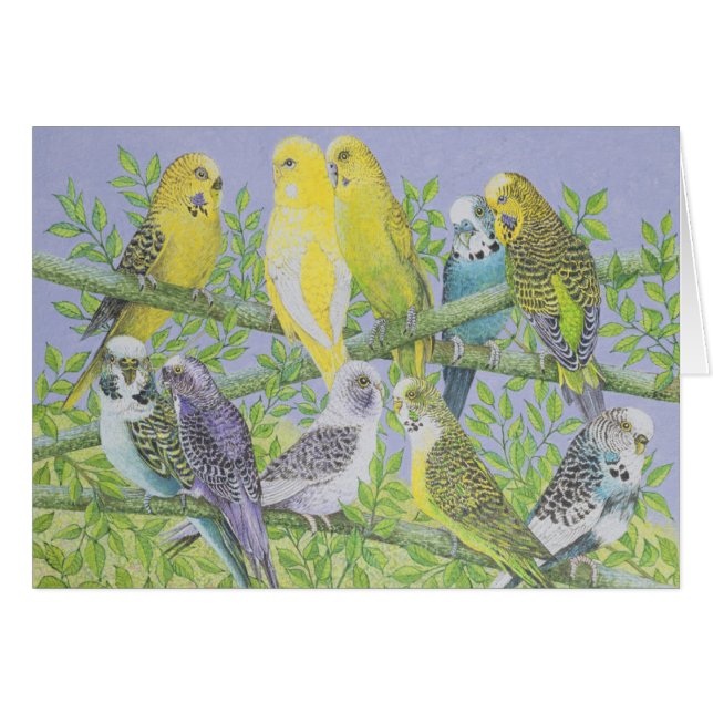 Sweet Talking (Front Horizontal)