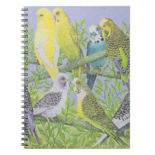 Sweet Talking Notebook