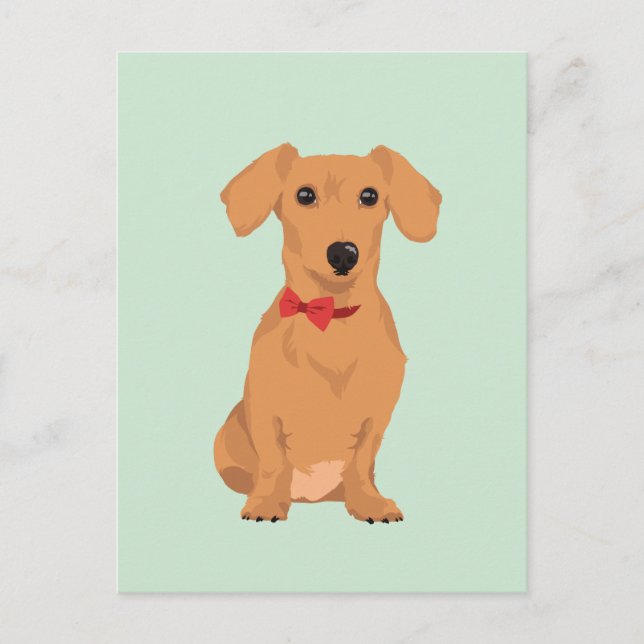 Sweet Tan Dachsund with Neck Ribbon for Dog Lovers Postcard (Front)