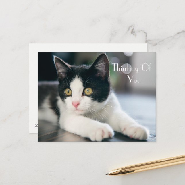 Sweet "Thinking Of You" Tuxedo Kitten Greeting Postcard (Front/Back In Situ)