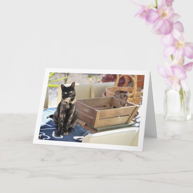 Sweet Tortoiseshell Kitten Card (Orchid)