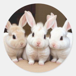 Sweet Trio of Fluffy Bunnies Classic Round Sticker