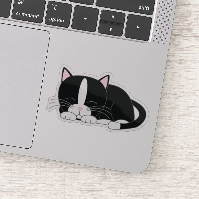 Sweet Tuxedo Kitten (Detail)