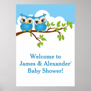 Sweet Twins Owls Boy Baby Shower Poster