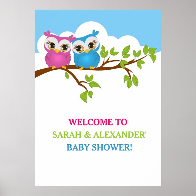 Sweet Twins Owls Boy Girl Baby Shower Poster (Front)