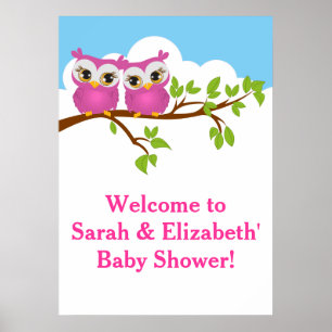 Sweet Twins Owls Girl Baby Shower Poster