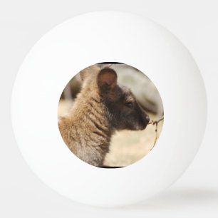 Sweet Wallaby Ping Pong Ball