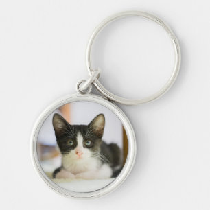 Sweet White And Black Kitten Key Ring