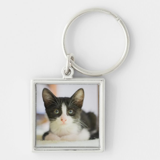 Sweet White And Black Kitten Key Ring (Front)