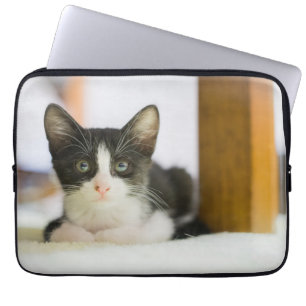 Sweet White And Black Kitten Laptop Sleeve