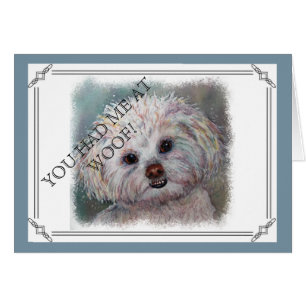 SWEET WHITE MALTESE YORKIE MIX