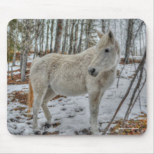 Sweet White Mare and Winter Forest Gift Mouse Pad