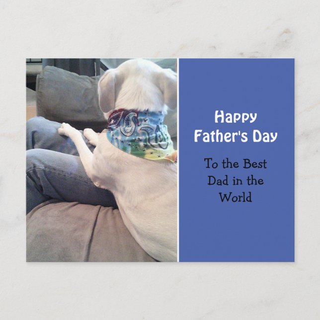 Sweet White Puppy Dog Wearing Colourful Scarf Blue Postcard (Front)