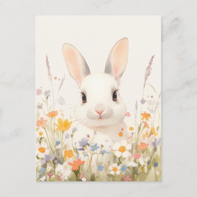 Sweet White Rabbit in Spring Meadow Postcard (Front)