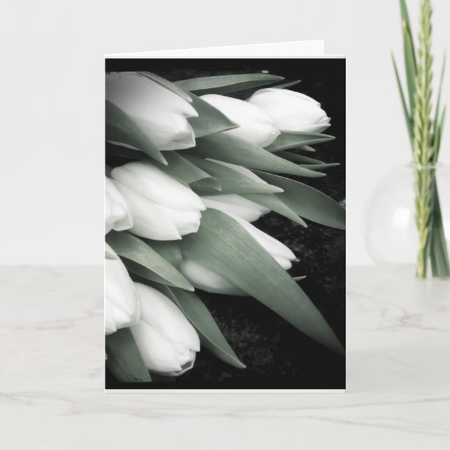 Sweet White Tulip Blank Greeting Card (Front)
