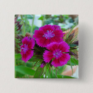 Sweet William Button