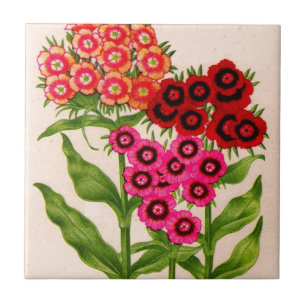 sweet william ceramic tile