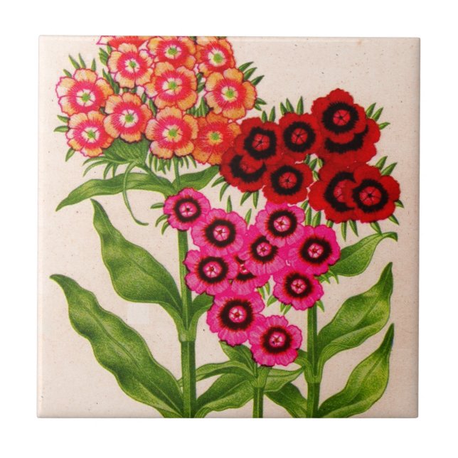 sweet william ceramic tile (Front)