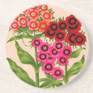 sweet william coaster