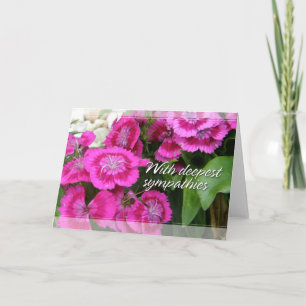 Sweet Williams (Dianthus) Sympathy Cards