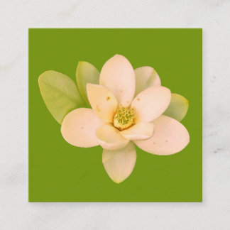 Sweetbay magnolia (Magnolia virginiana)  Enclosure Card