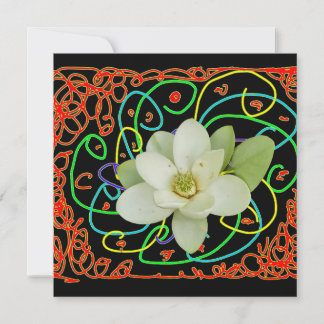 Sweetbay magnolia (Magnolia virginiana)  Holiday Card
