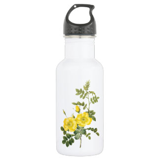 sweetbriar rose (Rosa eglanteria) by Redouté 532 Ml Water Bottle