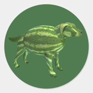 Sweetest Melon Dog Classic Round Sticker