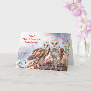 Sweetheart Cute Owls Happy Valentines Day Card