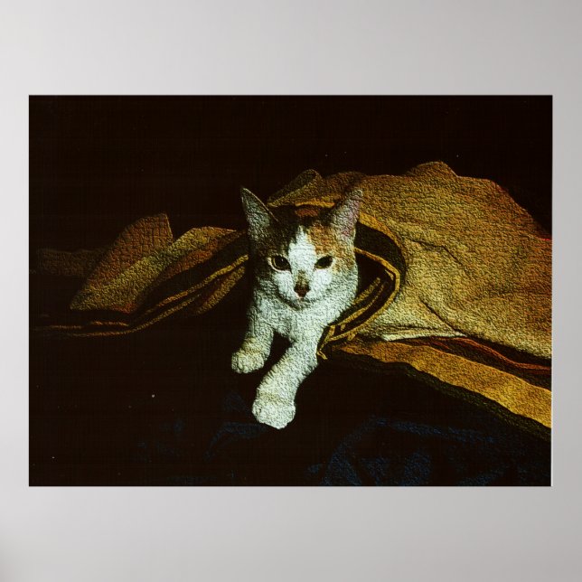 Sweetie as a Kit Poster (Front)