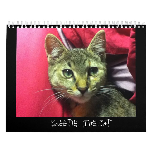 SWEETIE THE CAT calendar (Cover)