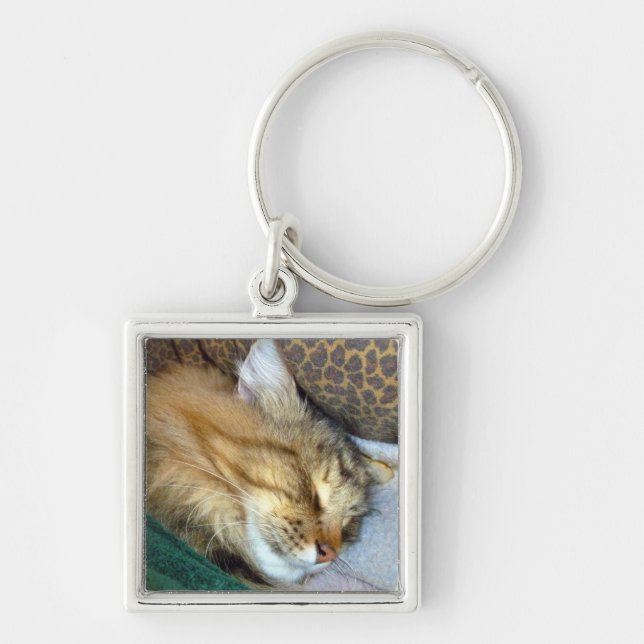 Sweetly dreaming key ring (Front)