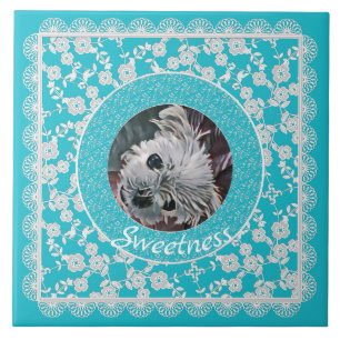 Sweetness-Aqua-Puppy-Square-CUSTOM-PHOTO-TEMPLATE- Ceramic Tile