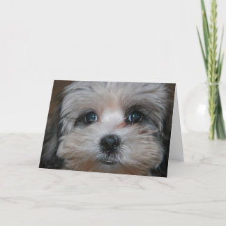 Sweetness personified card