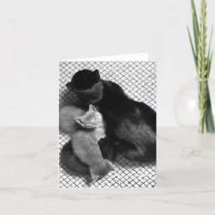 Sweetpea Greeting Card