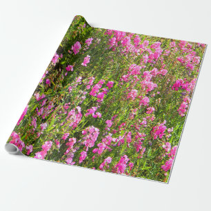 Sweetpeas on the hill.... wrapping paper
