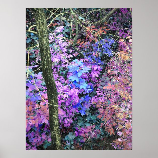 Sweets of Spring Poster (Front)