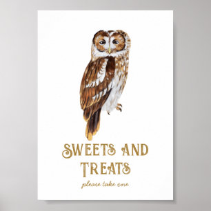 Sweets & Treats Owl Baby Shower Poster