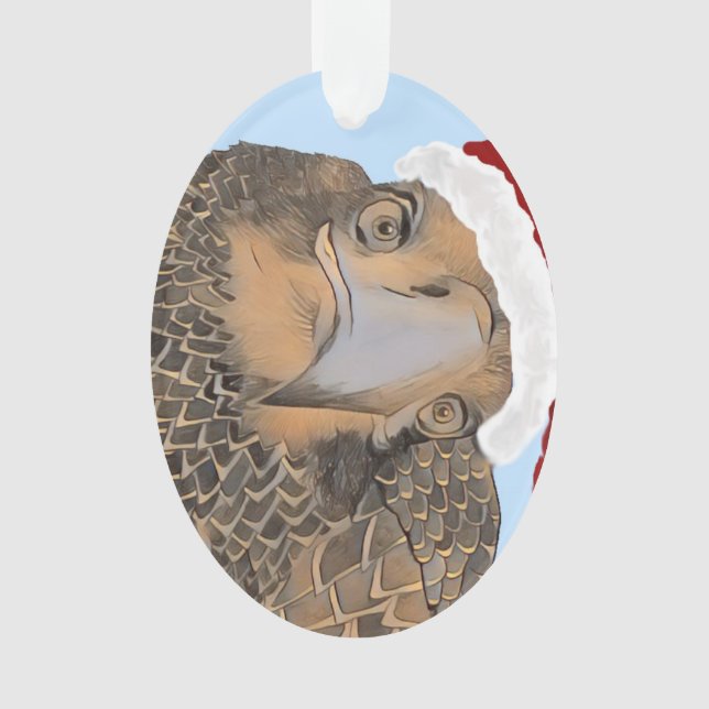 SWFL Bald Eagle Who Is That Handsome Eagle, E9 Ornament (Front)