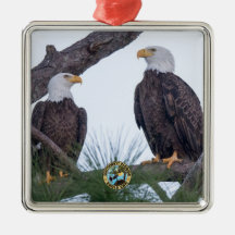 SWFL Eagle Cam Couple Goals Ornament