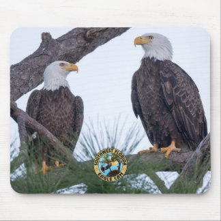 SWFL Eagle Cam Mouse Pad