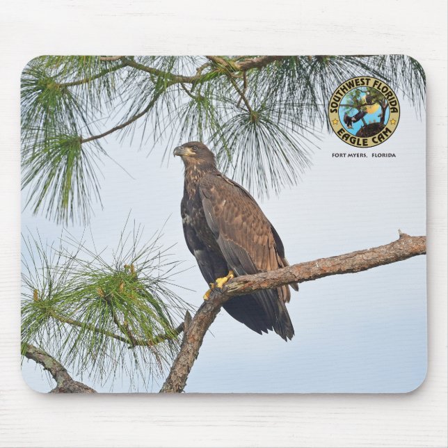 SWFL Eagle Cam Mouse Pad- E23  Mouse Pad (Front)