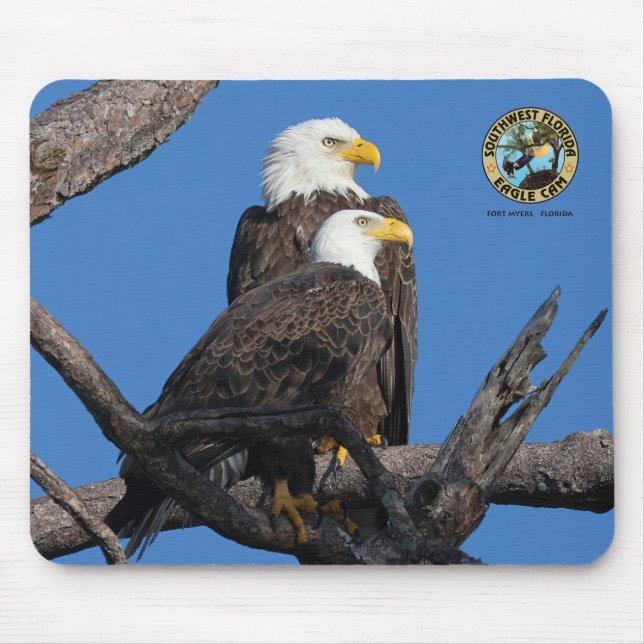 SWFL Eagle Cam Mouse Pad- M15 & F23 Pad (Front)
