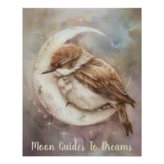 Swift bird baby sleeping on Moon Poster
